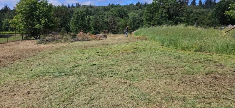 Maples Landscaping crew clearing an overgrown rural field — fresh-mown grass and clippings on the ground, treeline and blue sky in the background, Mendocino County