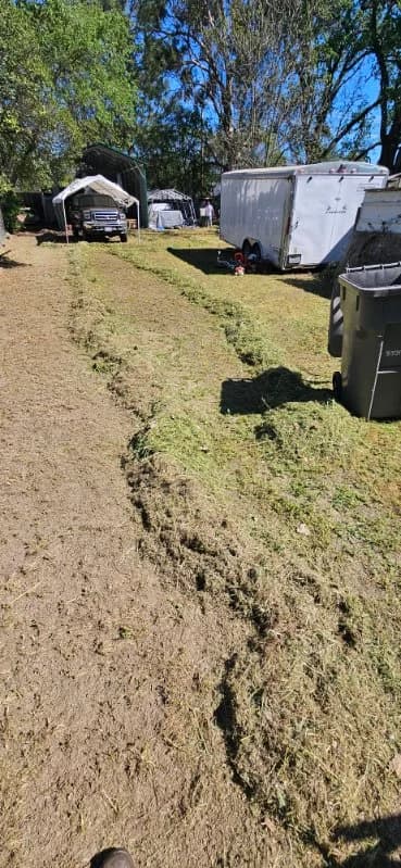 Cut grass piled in windrows next to a white work trailer after weed abatement — Maples Landscaping, Mendocino County